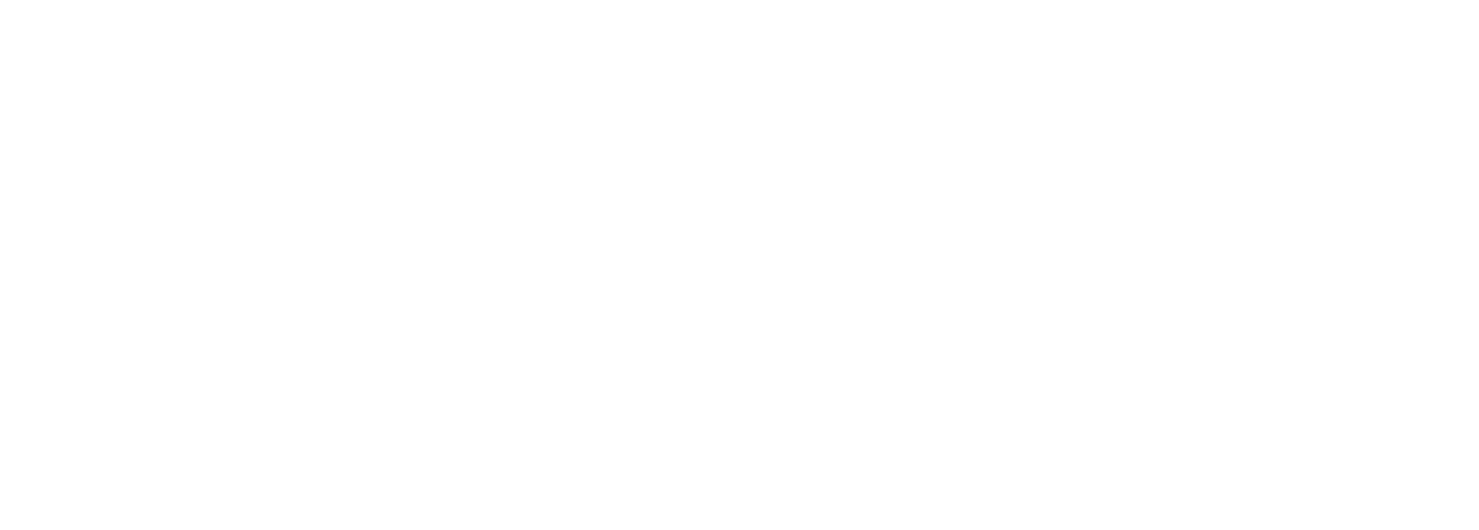 Logo evoc weiss